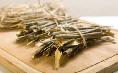 Workshop on Willow