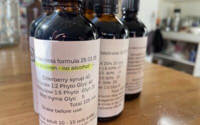 Winter Wellness Herbs