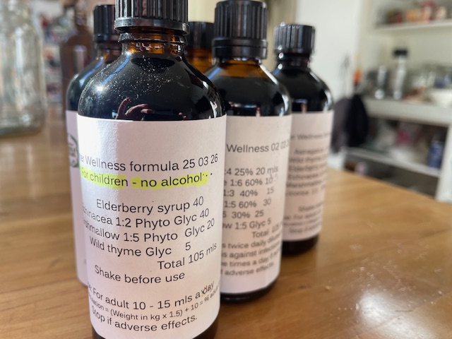 Winter Wellness Herbs